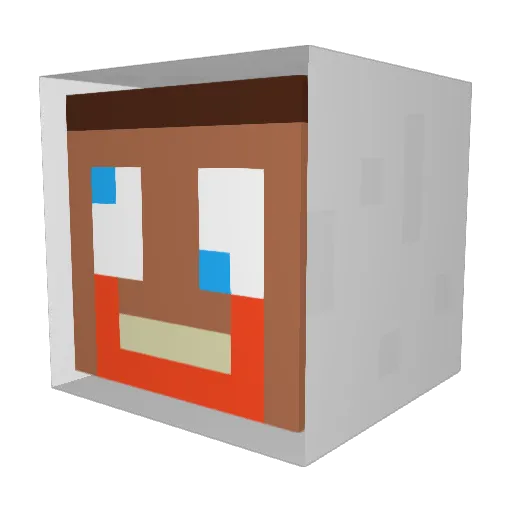 Tboy07 Minecraft avatar head, 3D render