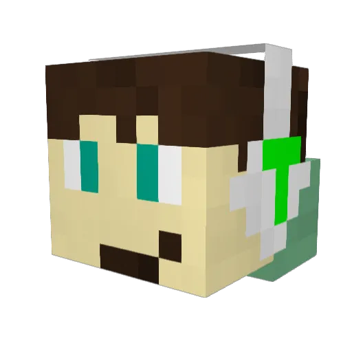 Tboy57 Minecraft avatar head, 3D render