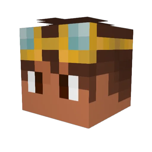 TboyCodes Minecraft avatar head, 3D render