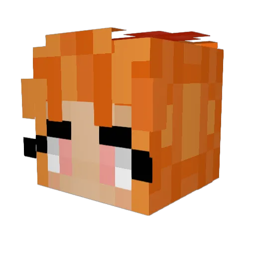 Tbozy_ Minecraft avatar head, 3D render