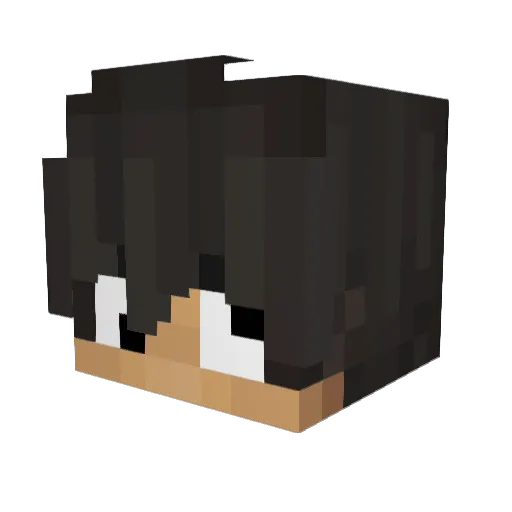 Tbsw Minecraft avatar head, 3D render