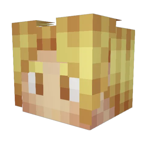 Tcarp01 Minecraft avatar head, 3D render