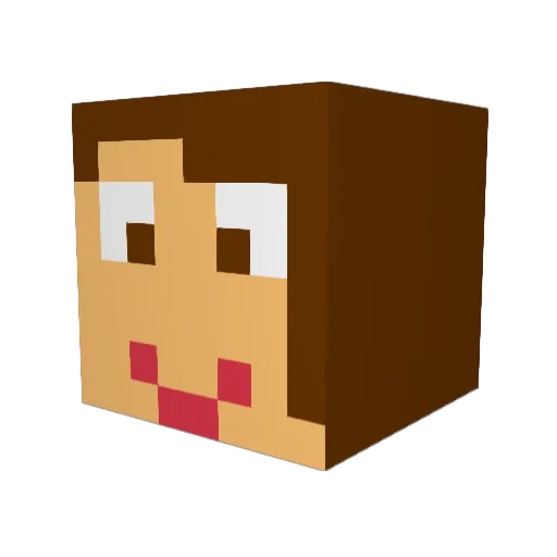 TccSis Minecraft avatar head, 3D render