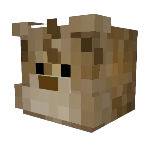 Tcddy23 Minecraft avatar head, 3D render