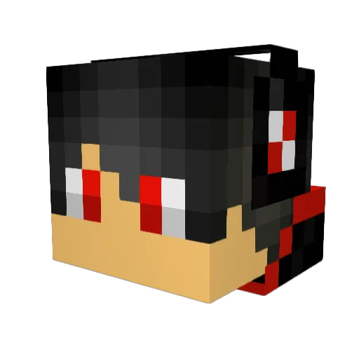 TcgLionHeart Minecraft avatar head, 3D render