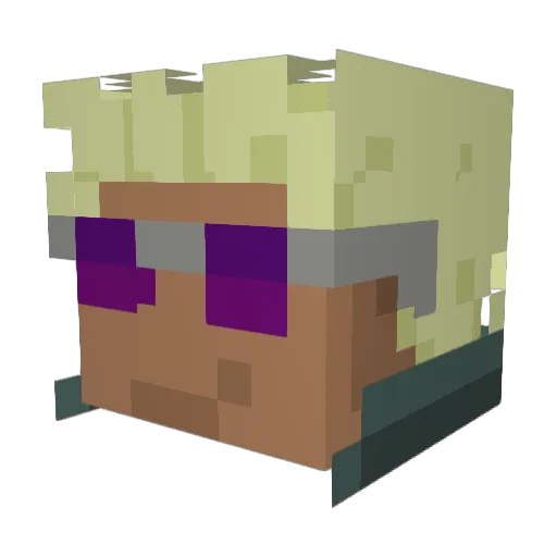 Tchoker_1 Minecraft avatar head, 3D render