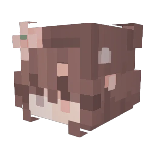 Tchoupi2LaTess Minecraft avatar head, 3D render