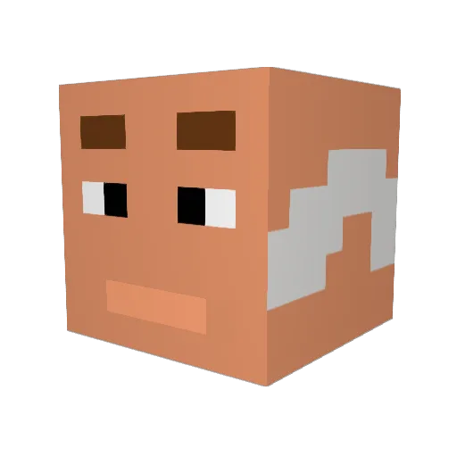 TchuTchu Minecraft avatar head, 3D render