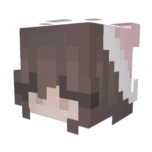 TdarksoulT Minecraft avatar head, 3D render