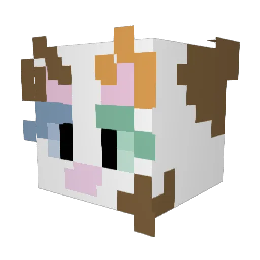 Tddbr Minecraft avatar head, 3D render