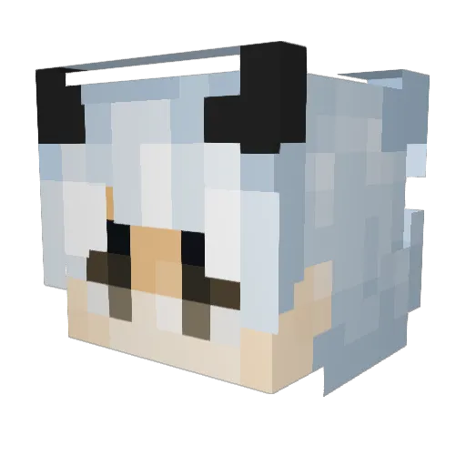 TdeTailon0 Minecraft avatar head, 3D render