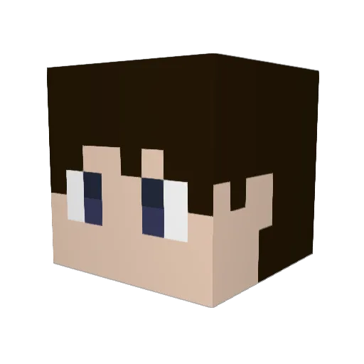 Tdf88 Minecraft avatar head, 3D render