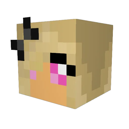 Tdg_boy Minecraft avatar head, 3D render