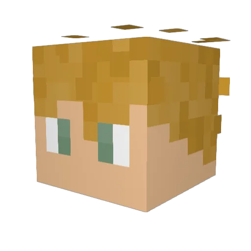 Tdhar06 Minecraft avatar head, 3D render