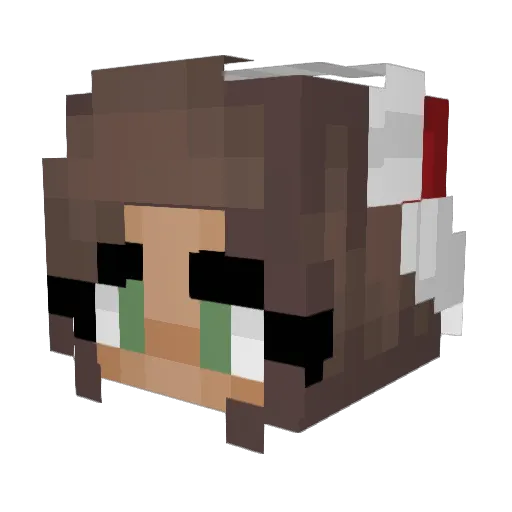 Tdoggin Minecraft avatar head, 3D render