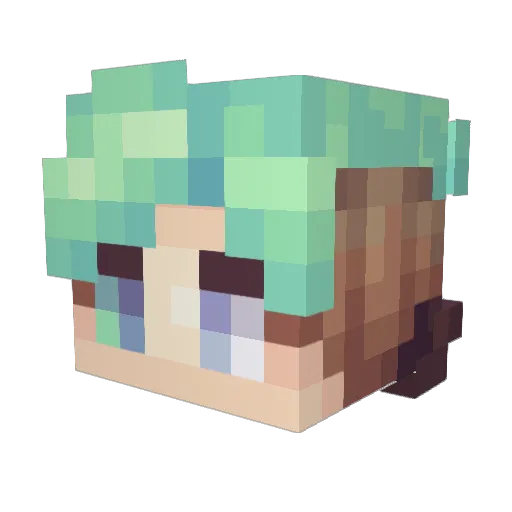 Te1ou Minecraft avatar head, 3D render