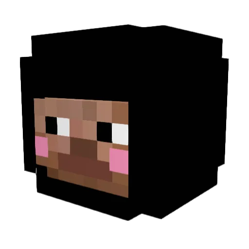 TeAnti05 Minecraft avatar head, 3D render