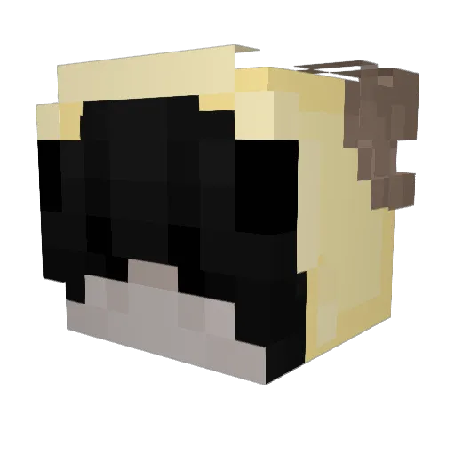 TeAseMepLs Minecraft avatar head, 3D render