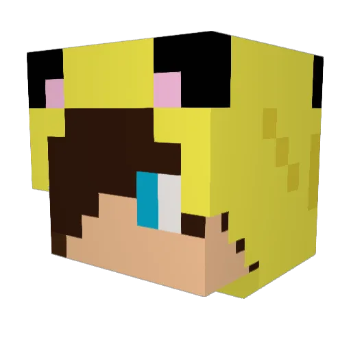 TeDracue Minecraft avatar head, 3D render