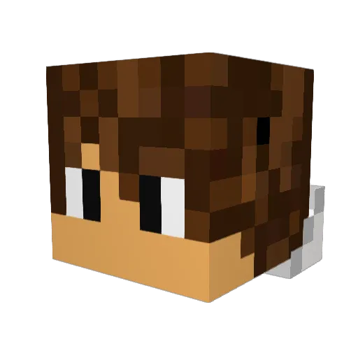 TeI2ux Minecraft avatar head, 3D render