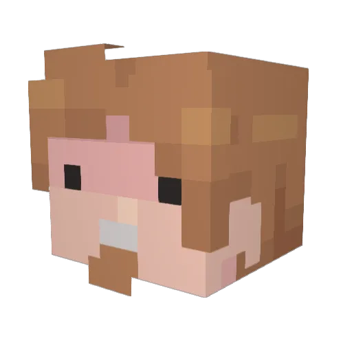 TeModrnRogrs Minecraft avatar head, 3D render
