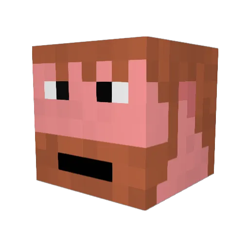 TeRR1FYS Minecraft avatar head, 3D render