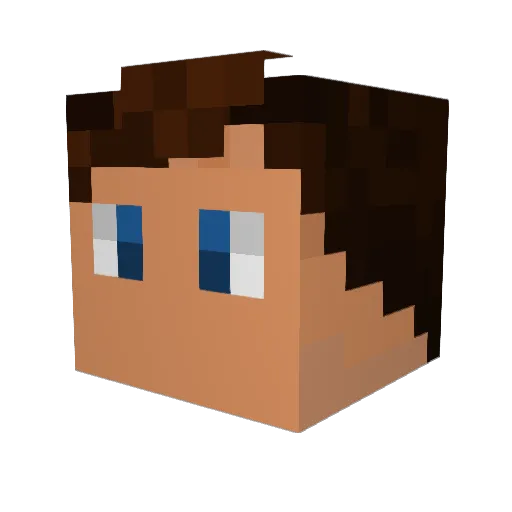 Te_On Minecraft avatar head, 3D render