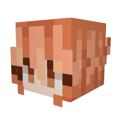 TeaAndCats Minecraft avatar head, 3D render