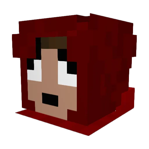 TeaB0 Minecraft avatar head, 3D render