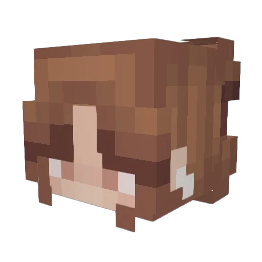 TeaBattleRoyal Minecraft avatar head, 3D render