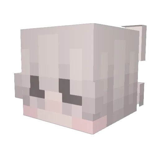TeaCozy1991 Minecraft avatar head, 3D render