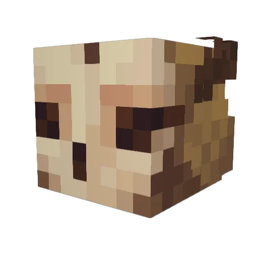 TeaCupBird Minecraft avatar head, 3D render