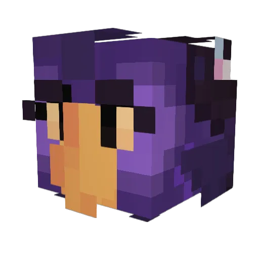 TeaGuzzling Minecraft avatar head, 3D render