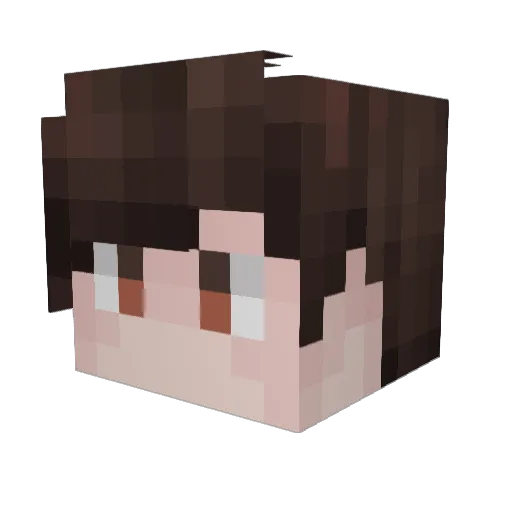 TeaHeart02 Minecraft avatar head, 3D render
