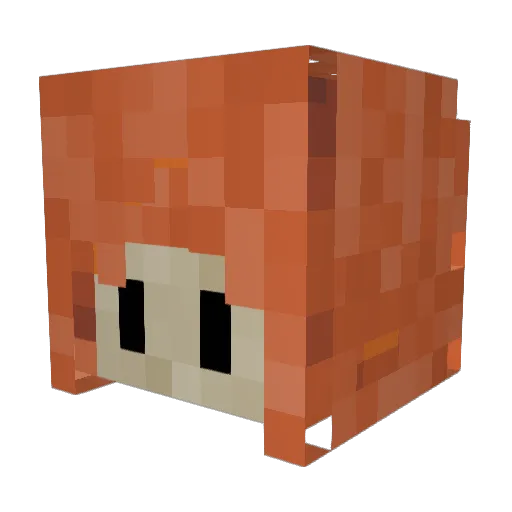 TeaITea Minecraft avatar head, 3D render