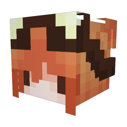 TeaLeafWitch Minecraft avatar head, 3D render