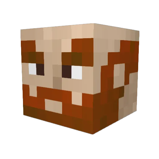 TeaNcrumpets97 Minecraft avatar head, 3D render