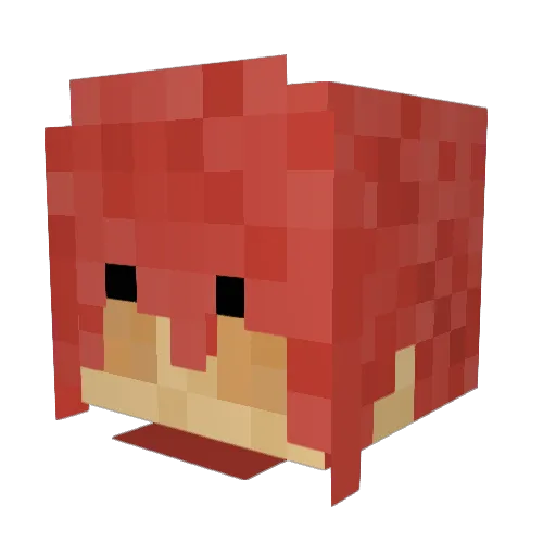 TeaR796 Minecraft avatar head, 3D render
