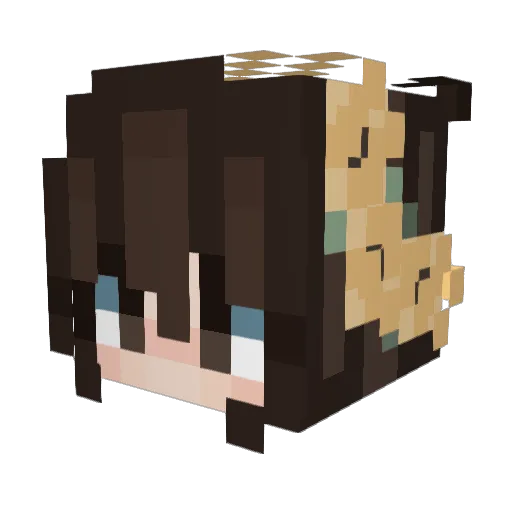 TeaRex_69 Minecraft avatar head, 3D render