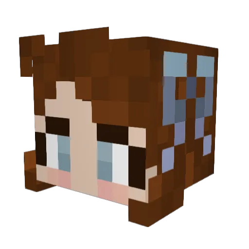 TeaRos3 Minecraft avatar head, 3D render