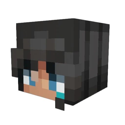 Tea_Maker Minecraft avatar head, 3D render