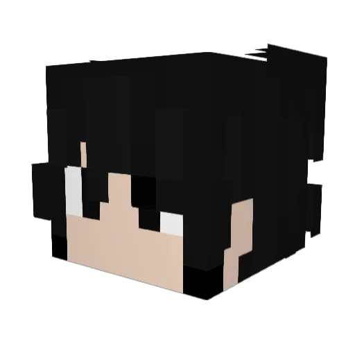 Tea_moon_ Minecraft avatar head, 3D render