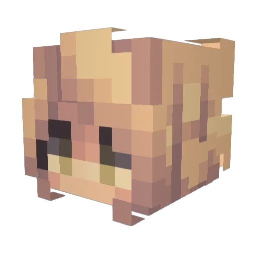 Teaa_02 Minecraft avatar head, 3D render