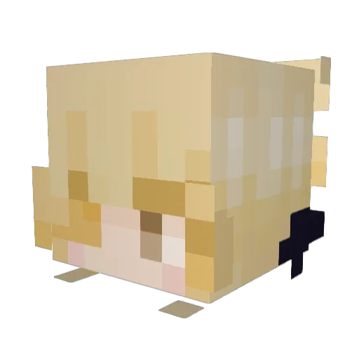 Teaable Minecraft avatar head, 3D render