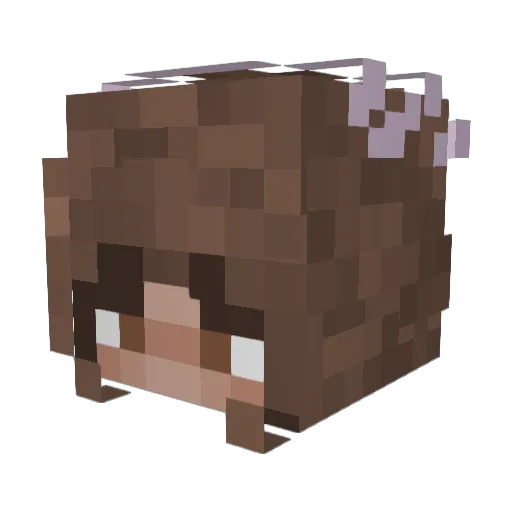Teaaddict909 Minecraft avatar head, 3D render