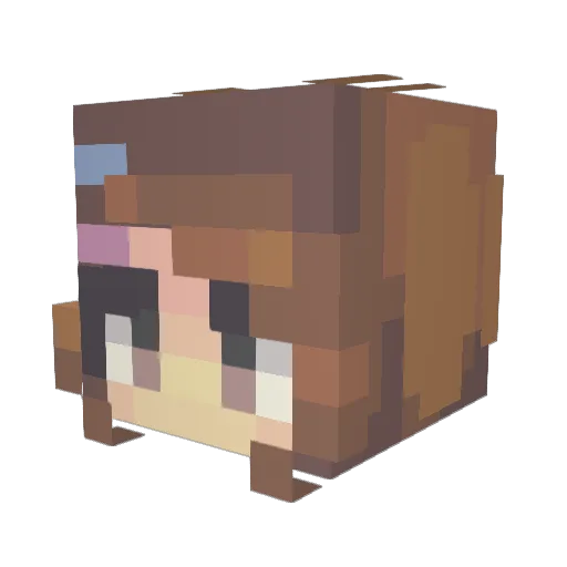 Teabini Minecraft avatar head, 3D render