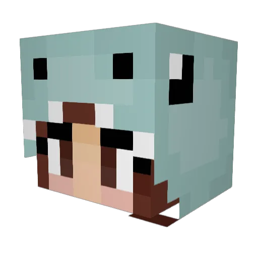 Teaca13 Minecraft avatar head, 3D render