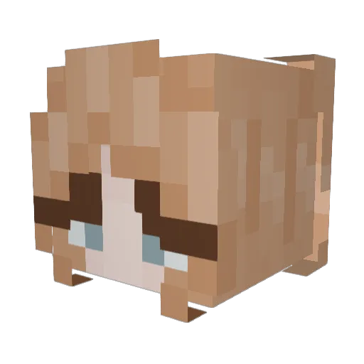 Teacoeval Minecraft avatar head, 3D render