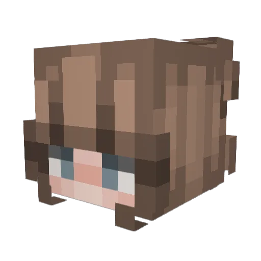 Teagan_MC Minecraft avatar head, 3D render