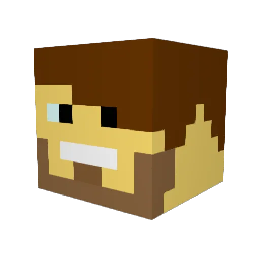 Teagle12 Minecraft avatar head, 3D render